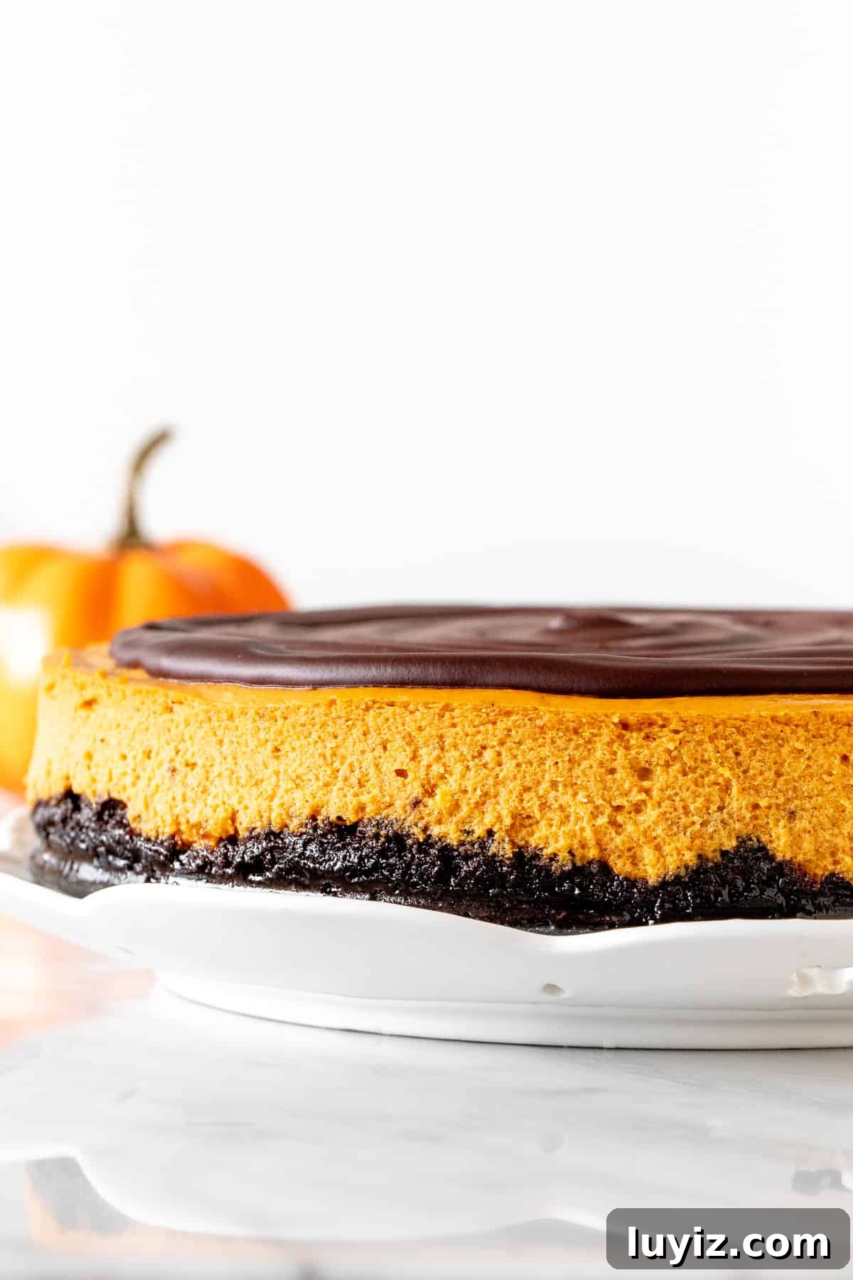 Pumpkin Chocolate Cheesecake Recipe: Decadent Fall Dessert 2 9-inch round pumpkin chocolate cheesecake