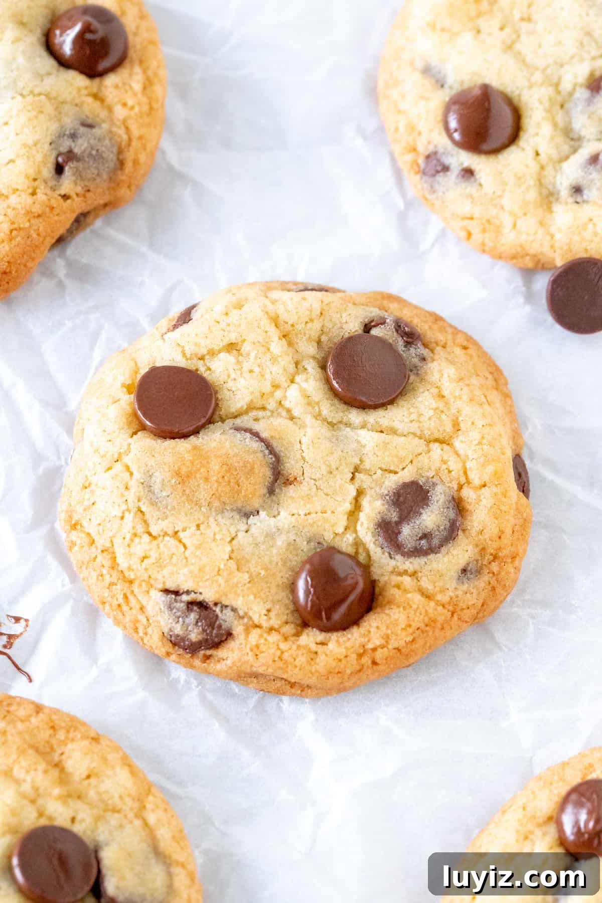 Chewy Chocolate Chip Cookies Made Without Brown Sugar 2 Chocolate chip cookie without brown sugar on parchment paper.