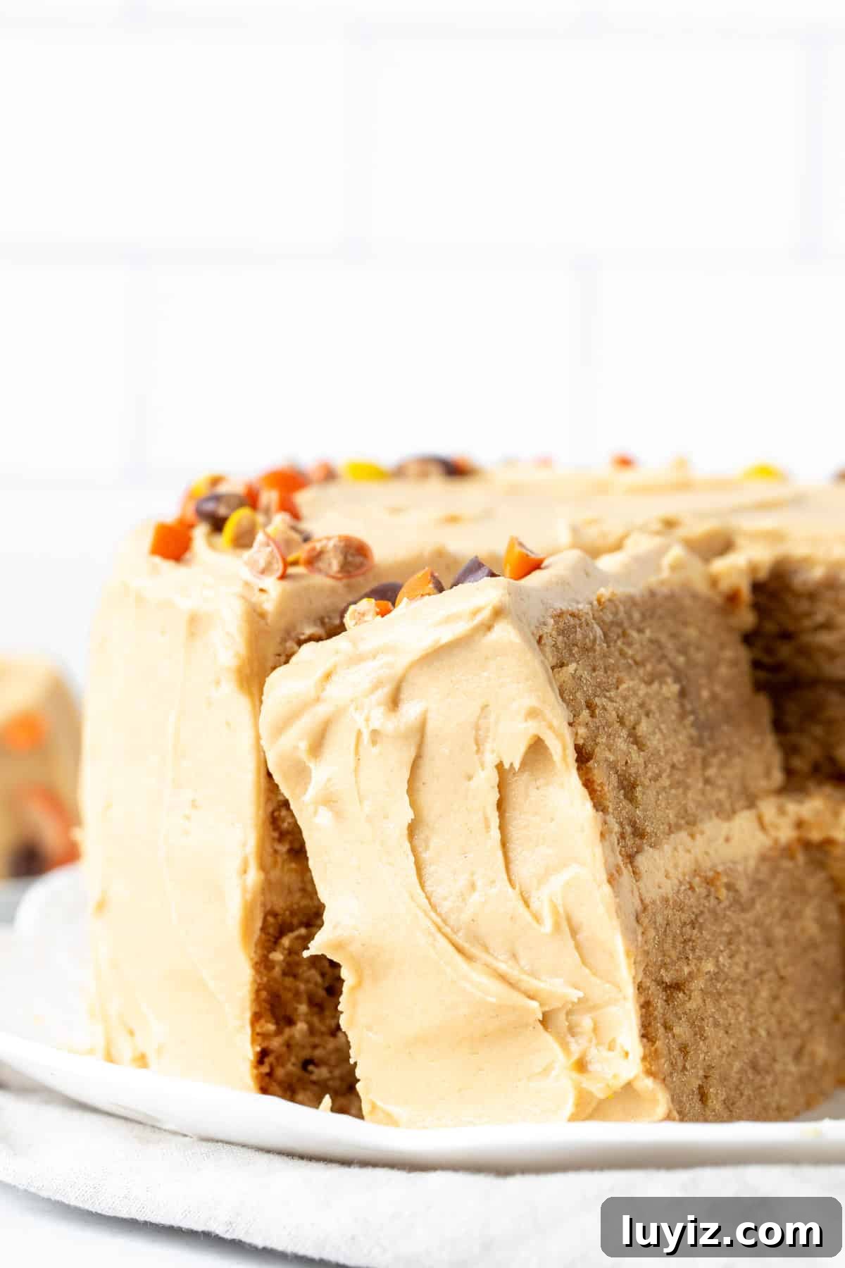 Decadent Peanut Butter Layer Cake Recipe 3 img 15748 2