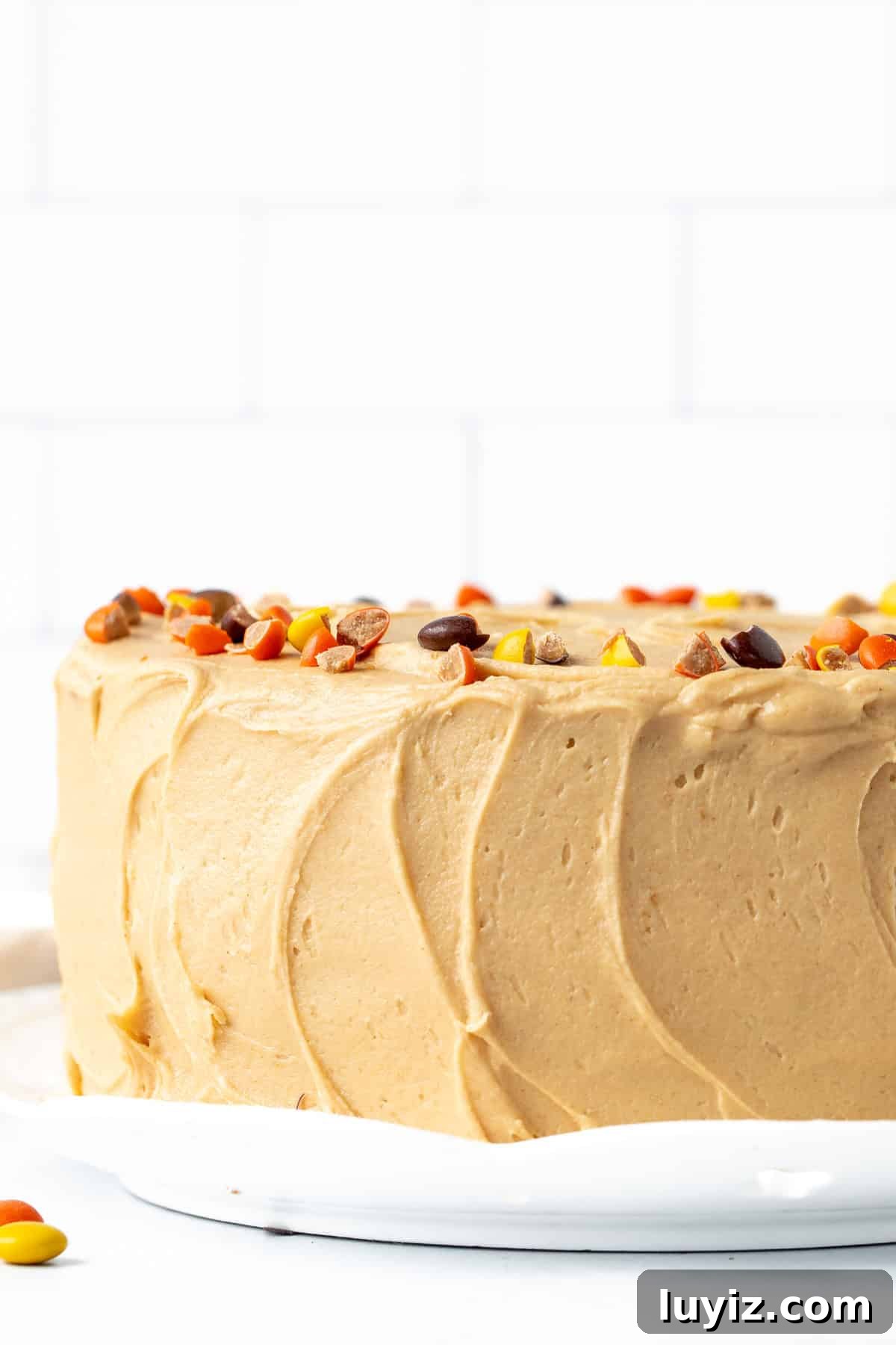Decadent Peanut Butter Layer Cake Recipe 8 8-inch round peanut butter cake frosted with creamy peanut butter frosting and decorated with Reese's Pieces