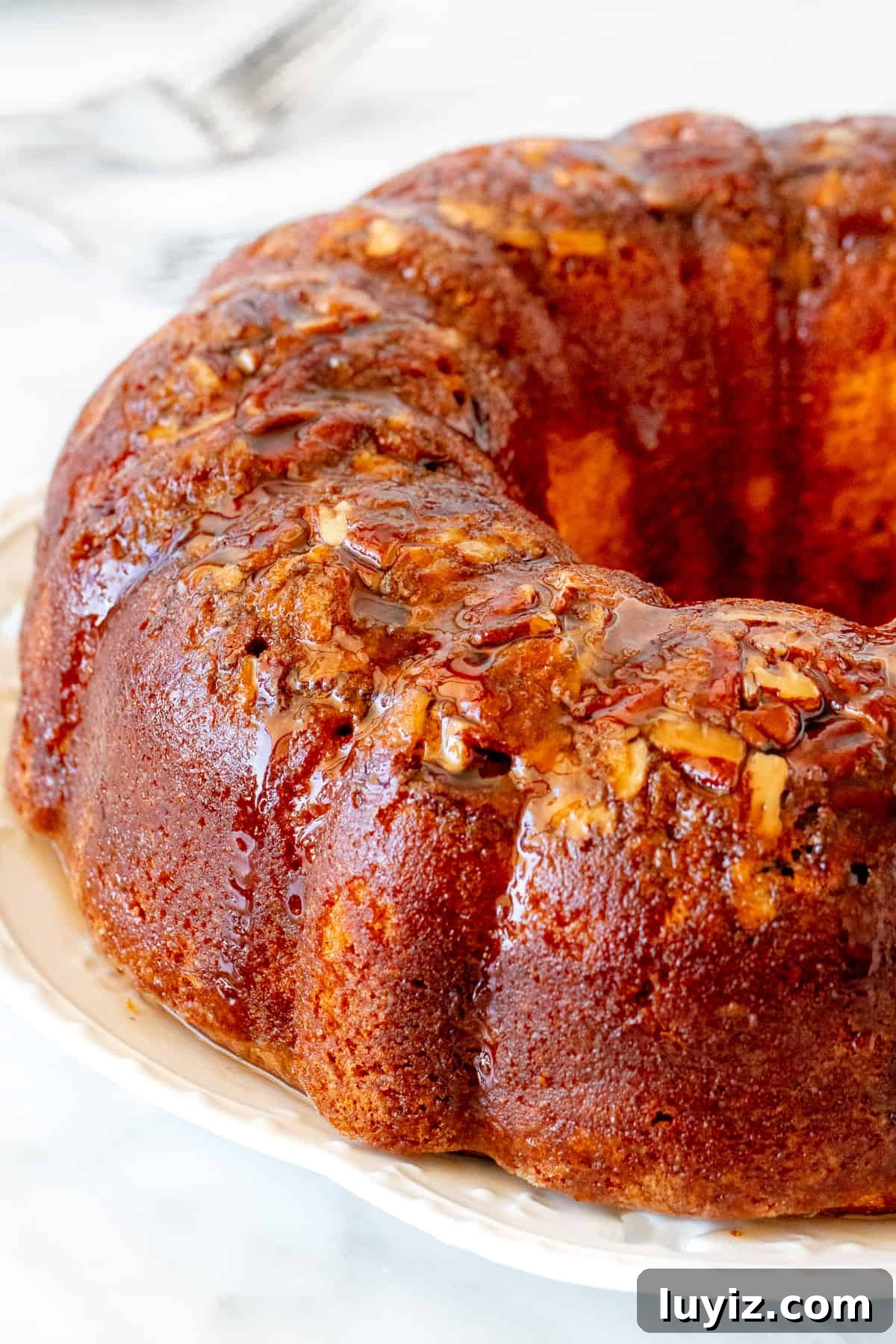 Homemade Rum-Soaked Cake Recipe That Melts in Your Mouth 2 Rum-soaked cake made in a bundt pan with pecans.
