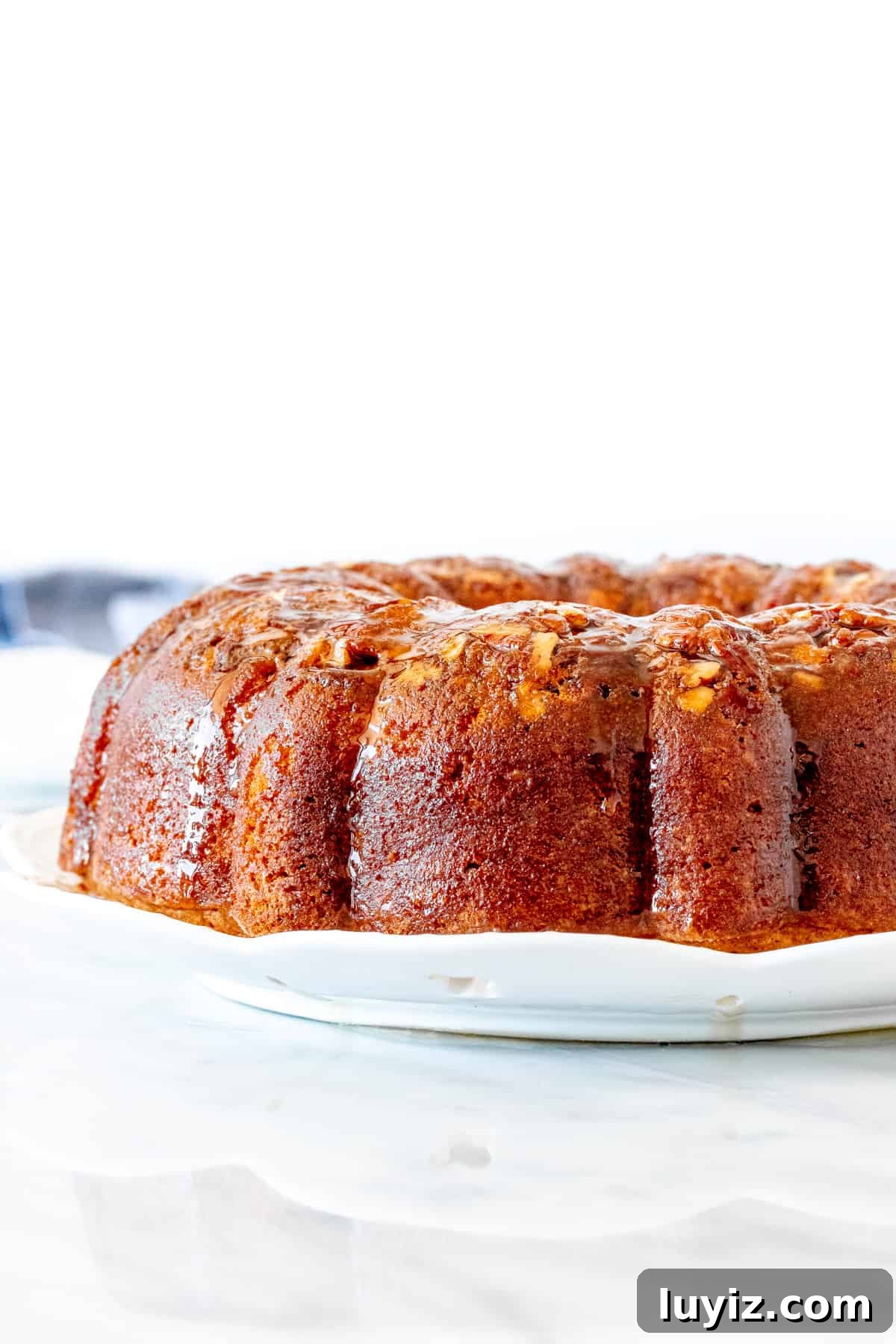 Homemade Rum-Soaked Cake Recipe That Melts in Your Mouth 3 Bundt cake with butter rum sauce