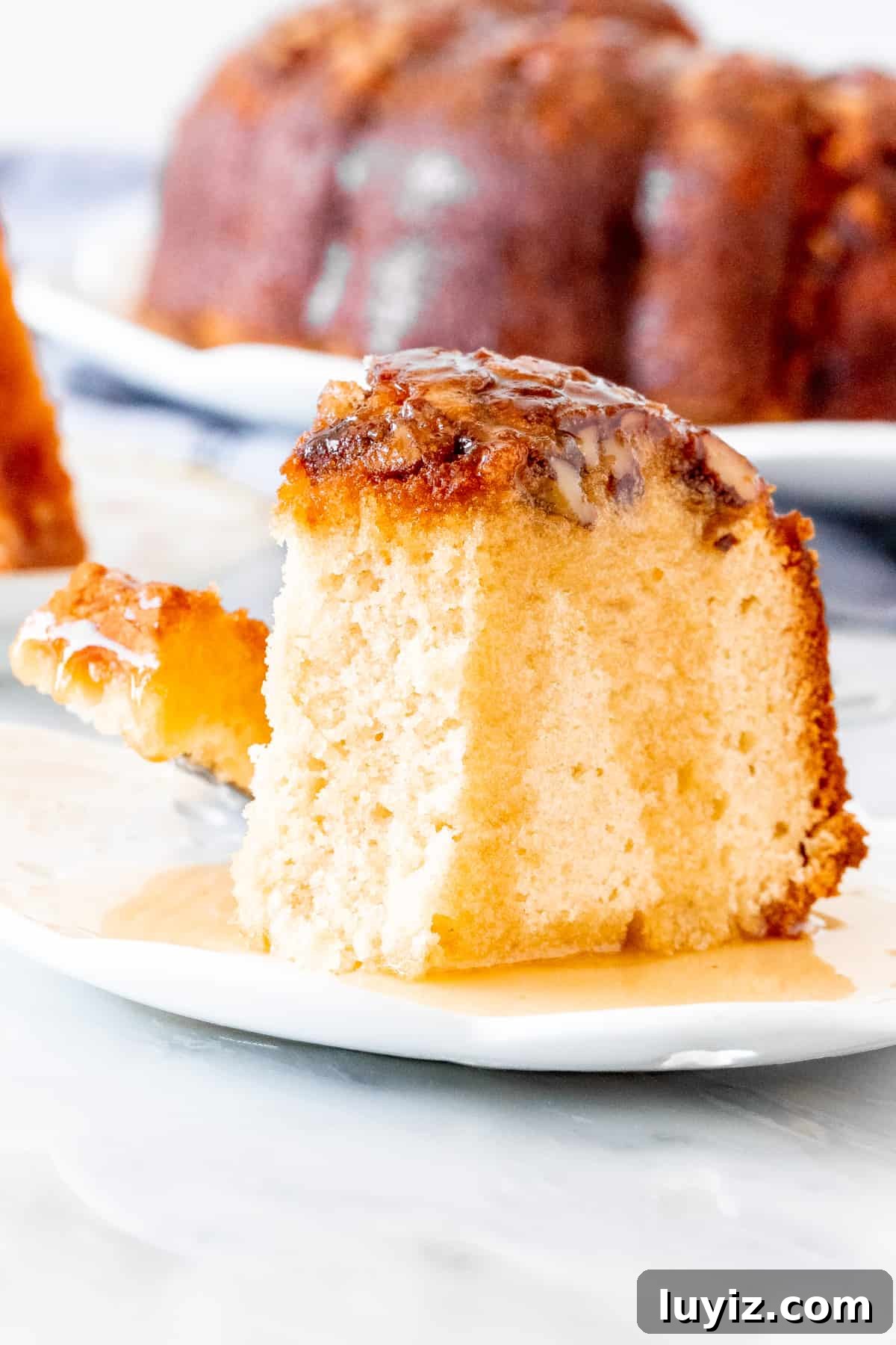 Homemade Rum-Soaked Cake Recipe That Melts in Your Mouth 5 Piece of bundt cake with nuts on top and rum sauce poured over top.
