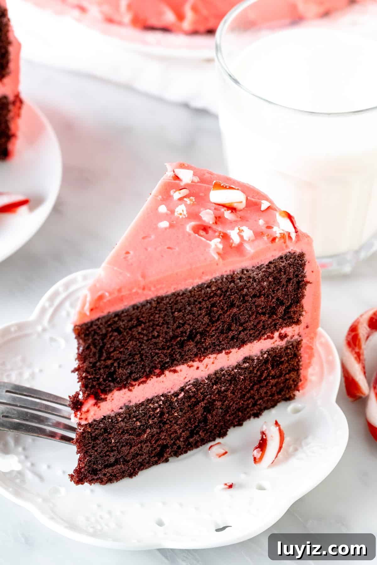 Chocolate Candy Cane Cake Recipe — Festive Layer Cake Guide 2 Slice of chocolate peppermint cake with a glass of milk