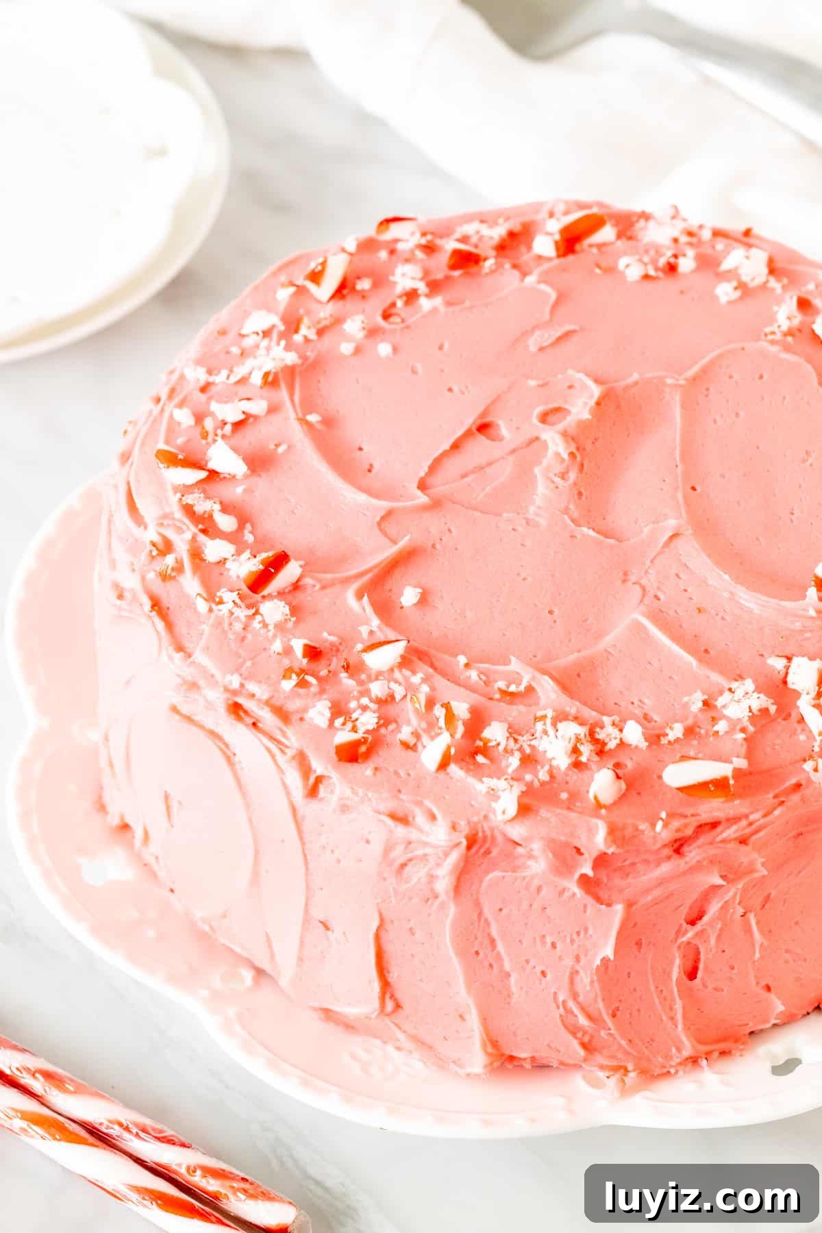 Chocolate Candy Cane Cake Recipe — Festive Layer Cake Guide 3 *-inch round cake with pink peppermint frosting and crushed candy canes on top