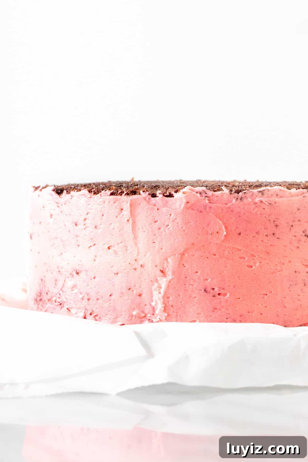 Chocolate Candy Cane Cake Recipe — Festive Layer Cake Guide 4 Chocolate layer cake with crumb coat