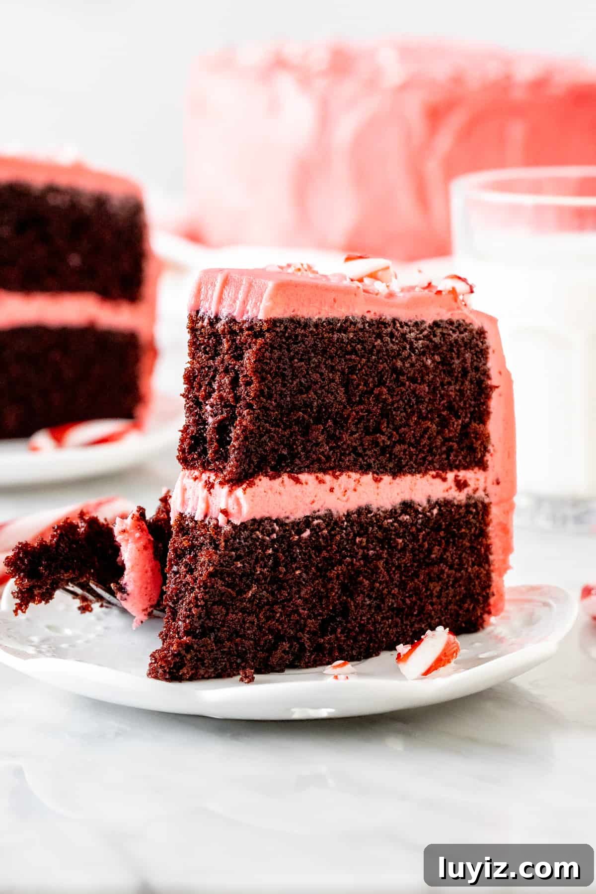 Chocolate Candy Cane Cake Recipe — Festive Layer Cake Guide 5 Slice of chocolate peppermint cake with a bite taken out of it.
