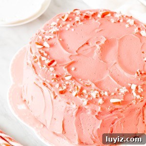 Chocolate cake frosted with pink peppermint frosting and decorated with crushed candy canes