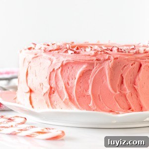 Candy Cane Cake with White Chocolate Peppermint Frosting 4 2-layer round candy cane cake with peppermint frosting