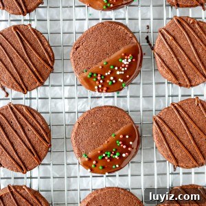 Buttery Chocolate Shortbread Cookies — Decadent, Melt-in-Your-Mouth 6 Chocolate cookies decorated with chocolate on a cooling rack