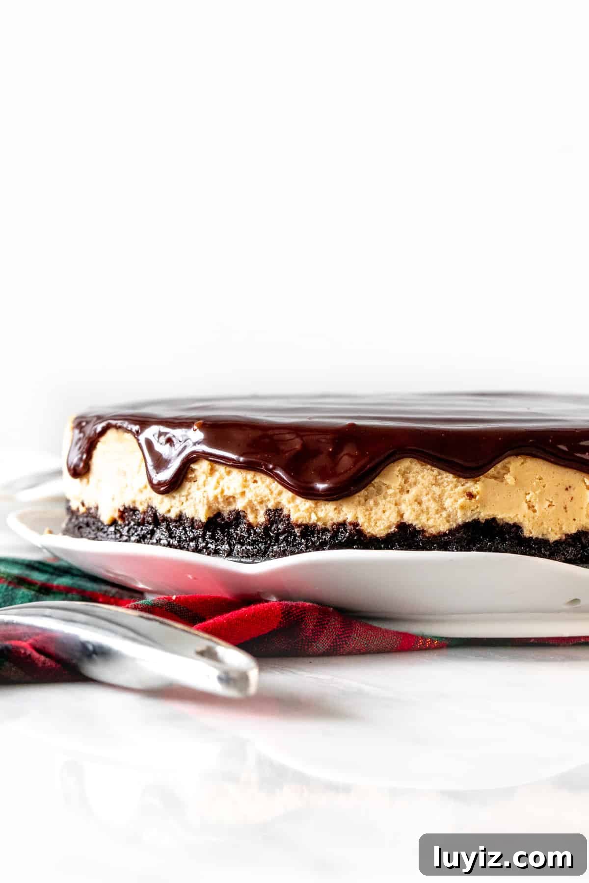 Baileys Cheesecake Recipe: Decadent Irish Cream Dessert 3 9-inch round Irish cream cheesecake with chocolate on top
