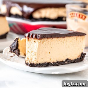 Baileys Cheesecake Recipe: Decadent Irish Cream Dessert 5 Piece of cheesecake with chocolate on top