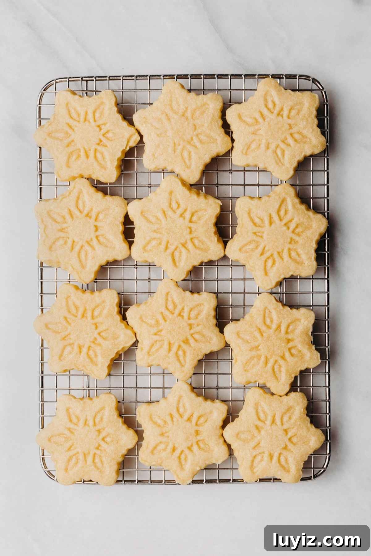 Classic Homemade Butter Cookies Recipe — Crisp, Melt-in-Your-Mouth Cookies 13 Cooling homemade butter cookies on a wire cooling rack placed on a white and grey marbled background.