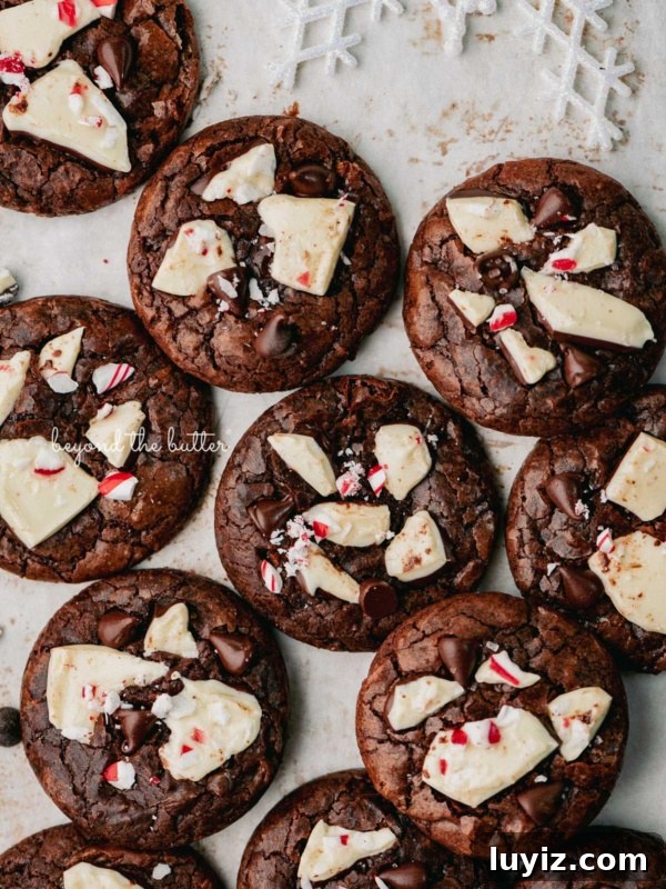 Classic Homemade Butter Cookies Recipe — Crisp, Melt-in-Your-Mouth Cookies 15 Just baked peppermint bark brownie crinkle cookies on a parchment paper lined baking sheet.