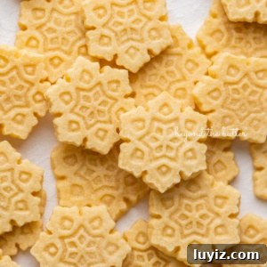 Classic Homemade Butter Cookies Recipe — Crisp, Melt-in-Your-Mouth Cookies 19 Randomly placed homemade butter cookies on a white background.