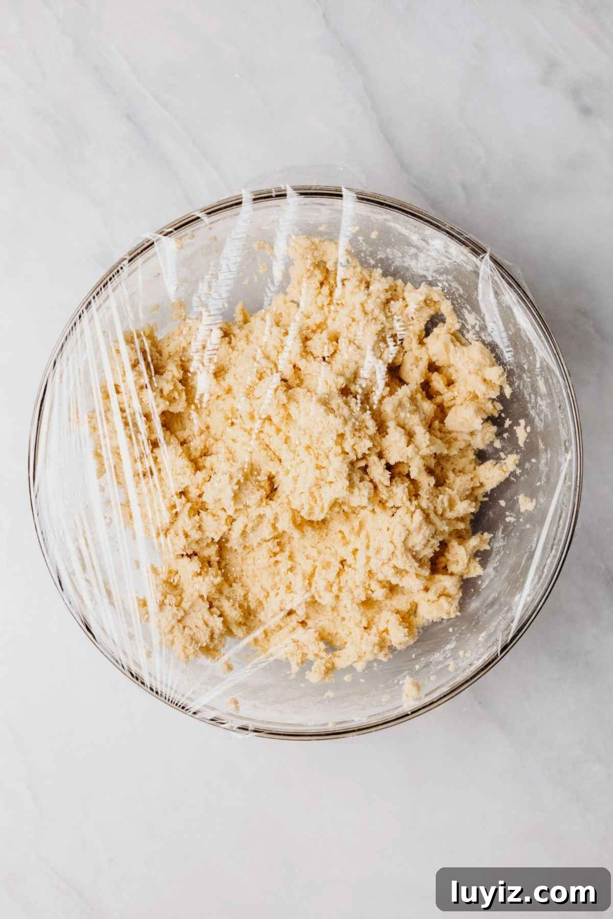 Classic Homemade Butter Cookies Recipe — Crisp, Melt-in-Your-Mouth Cookies 9 Chilled homemade butter cookie dough in a glass mixing bowl covered with plastic wrap.