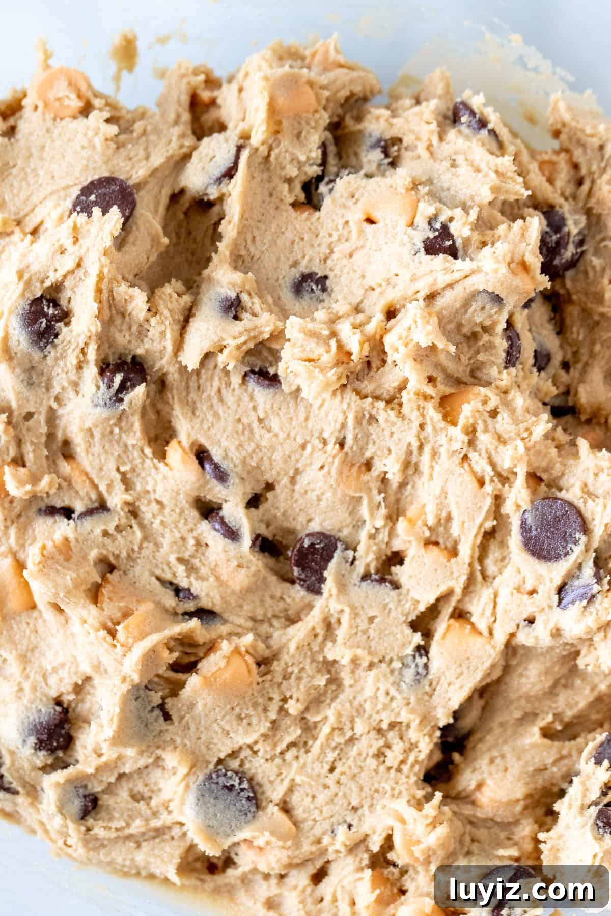 Butterscotch Chocolate Chip Cookies — Soft, Chewy & Gooey 4 Bowl of cookie dough