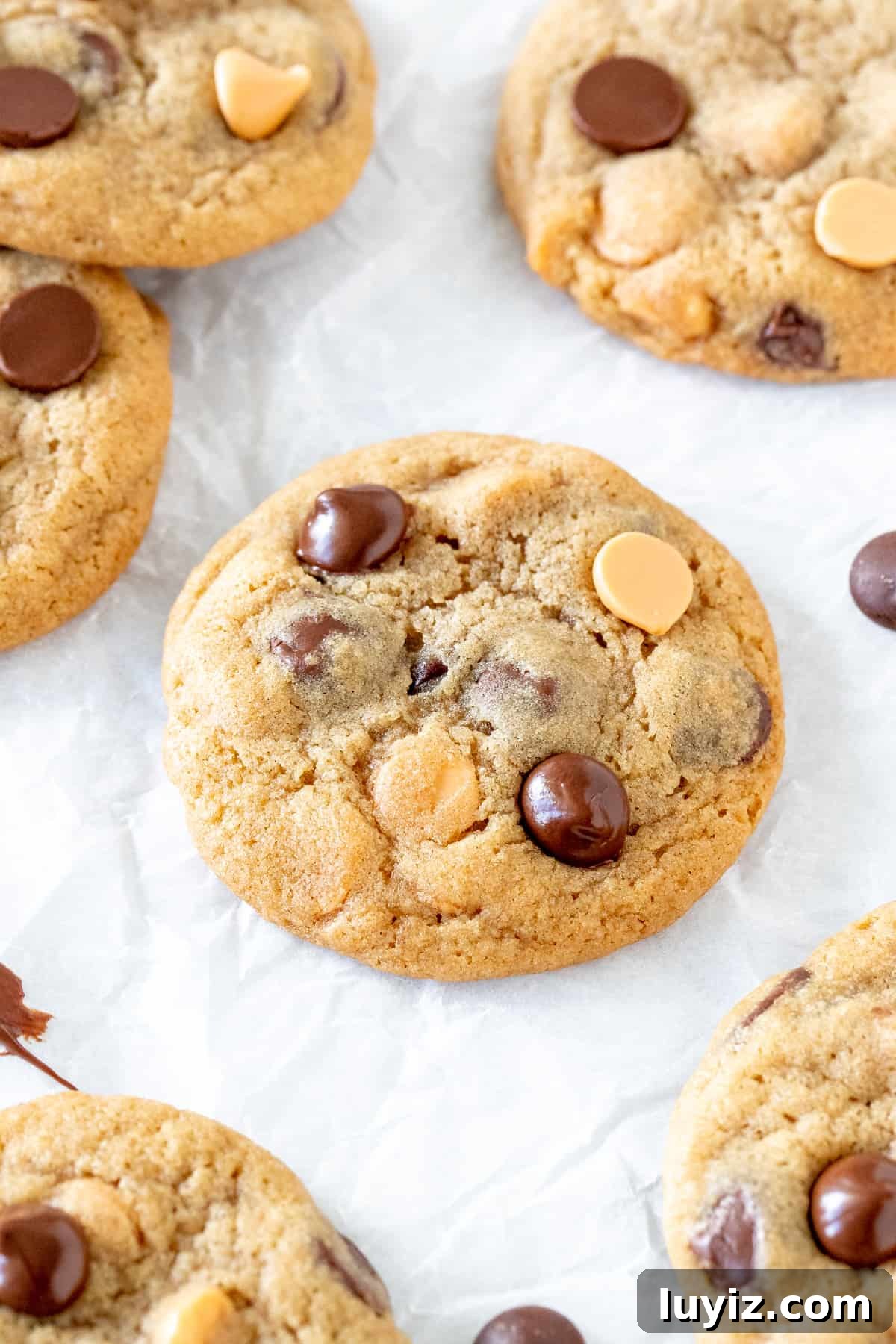 Butterscotch Chocolate Chip Cookies — Soft, Chewy & Gooey 5 Chocolate chip cookies with butterscotch chips