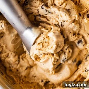 Dulce de Leche Ice Cream with Chocolate-Covered Pretzels 7 Ice cream scoop in a container of dulce de leche ice cream with chocolate covered pretzels.
