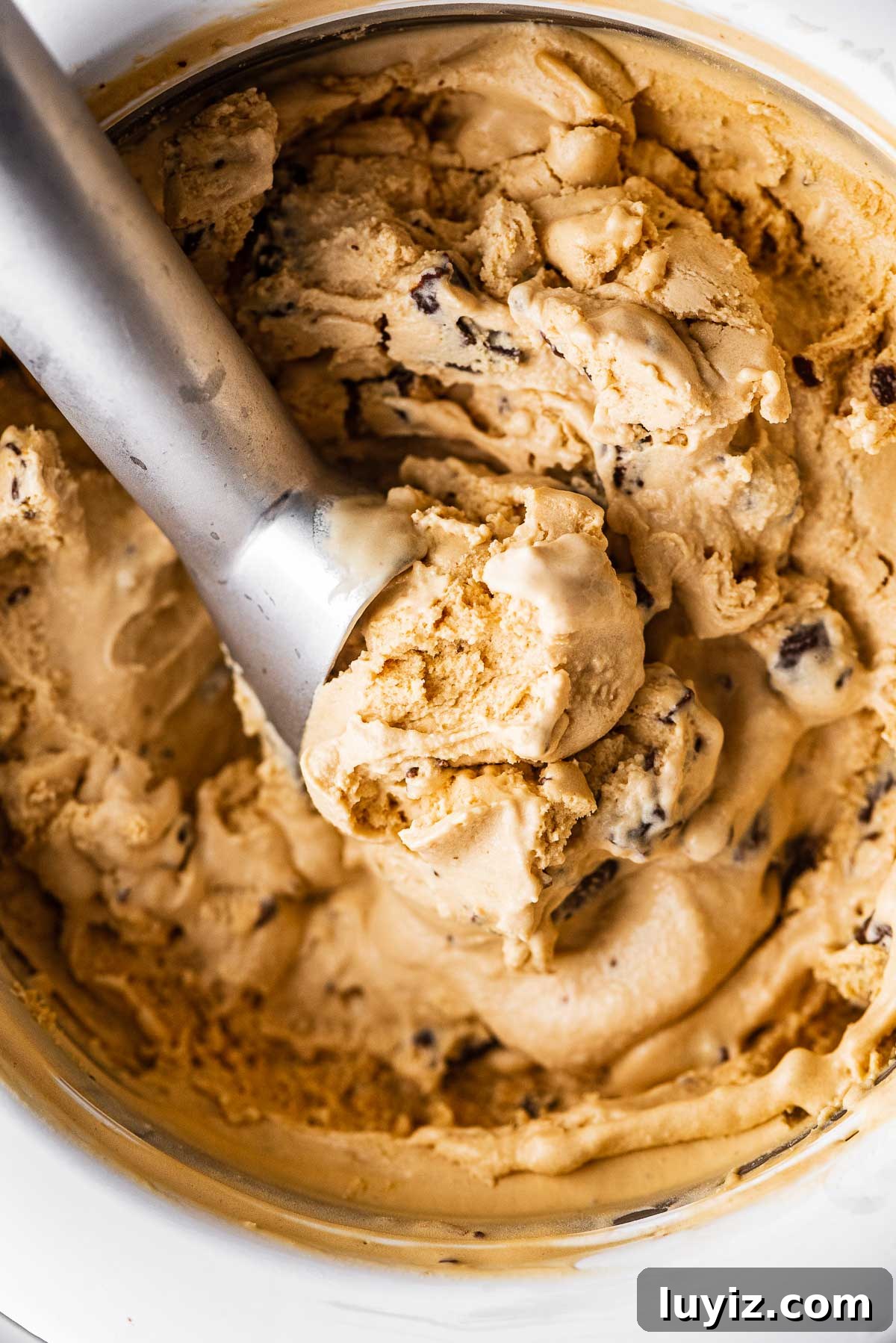 Dulce de Leche Ice Cream with Chocolate-Covered Pretzels 3 Ice cream scoop in a container of dulce de leche ice cream with chocolate covered pretzels