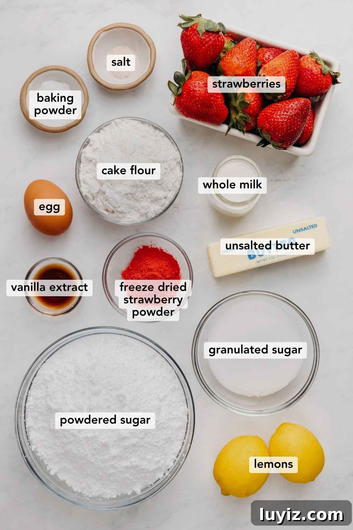Mini Strawberry Sheet Cake Recipe: Quick Moist Fresh Strawberry Cake 4 Ingredients in various size bowls labeled as baking powder, salt, strawberries, egg, cake flour, whole milk, vanilla extract, freeze dried strawberry powder, unsalted butter, powdered sugar, granulated sugar, and lemons on a white marbled background.