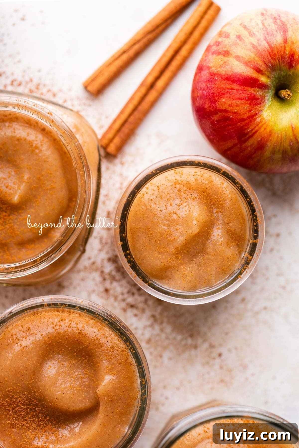 Homemade Applesauce Without Added Sugar: Simple Recipe 11 Jars of no sugar added applesauce with cinnamon sticks and apples on a white background.