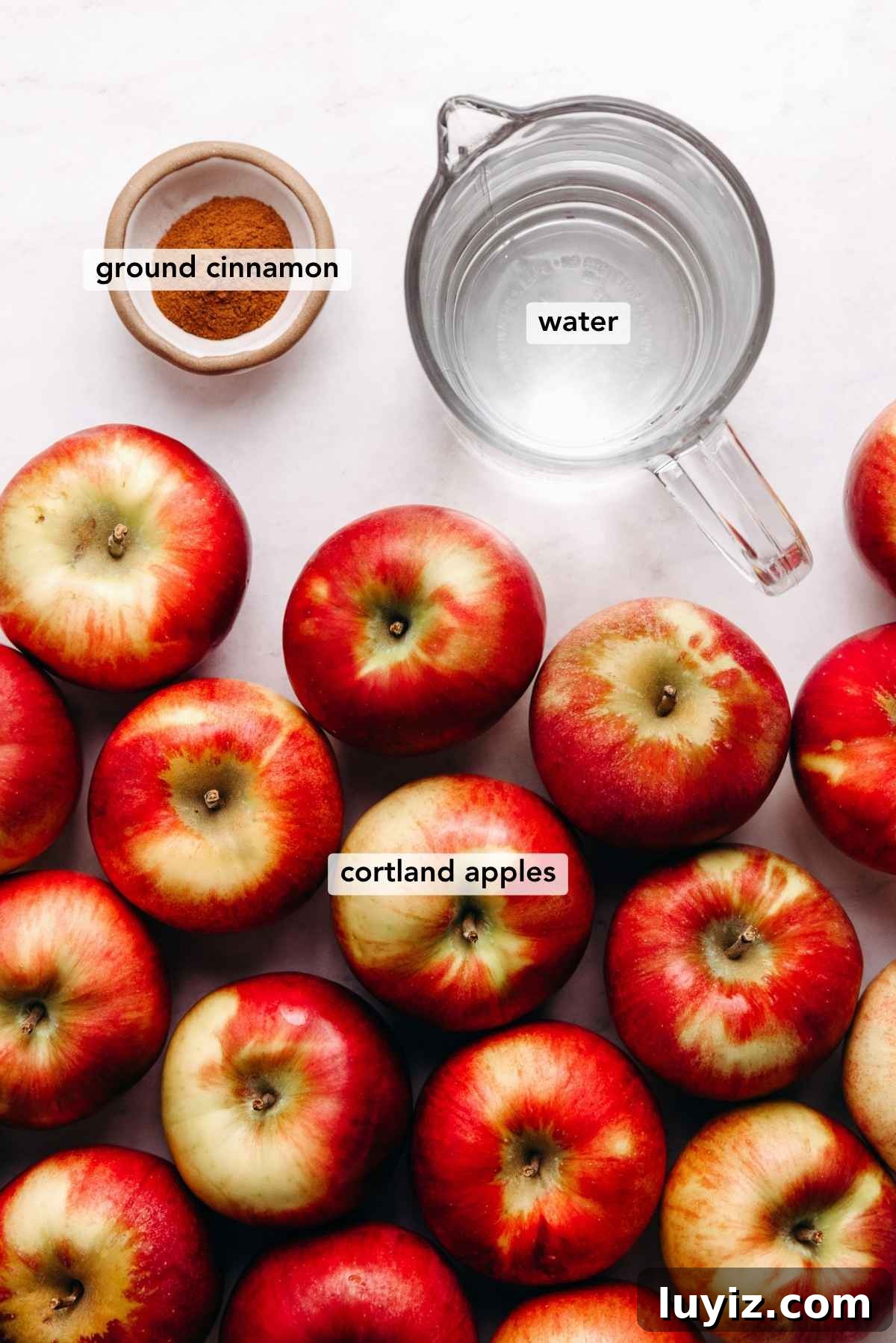 Homemade Applesauce Without Added Sugar: Simple Recipe 3 Ingredients in various size bowls labeled as ground cinnamon, water, and cortland apples on a white marbled background.