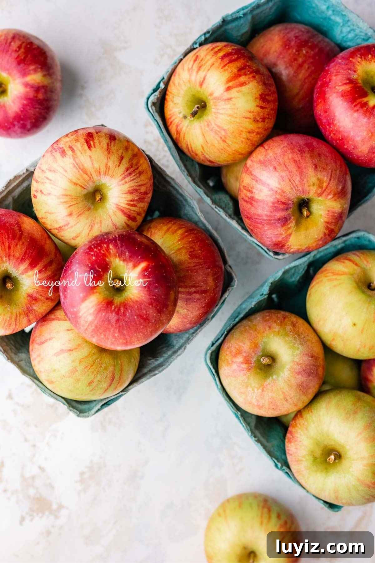 Homemade Applesauce Without Added Sugar: Simple Recipe 4 Three quarts of cortland apples in green molded paper produce baskets on a white background.