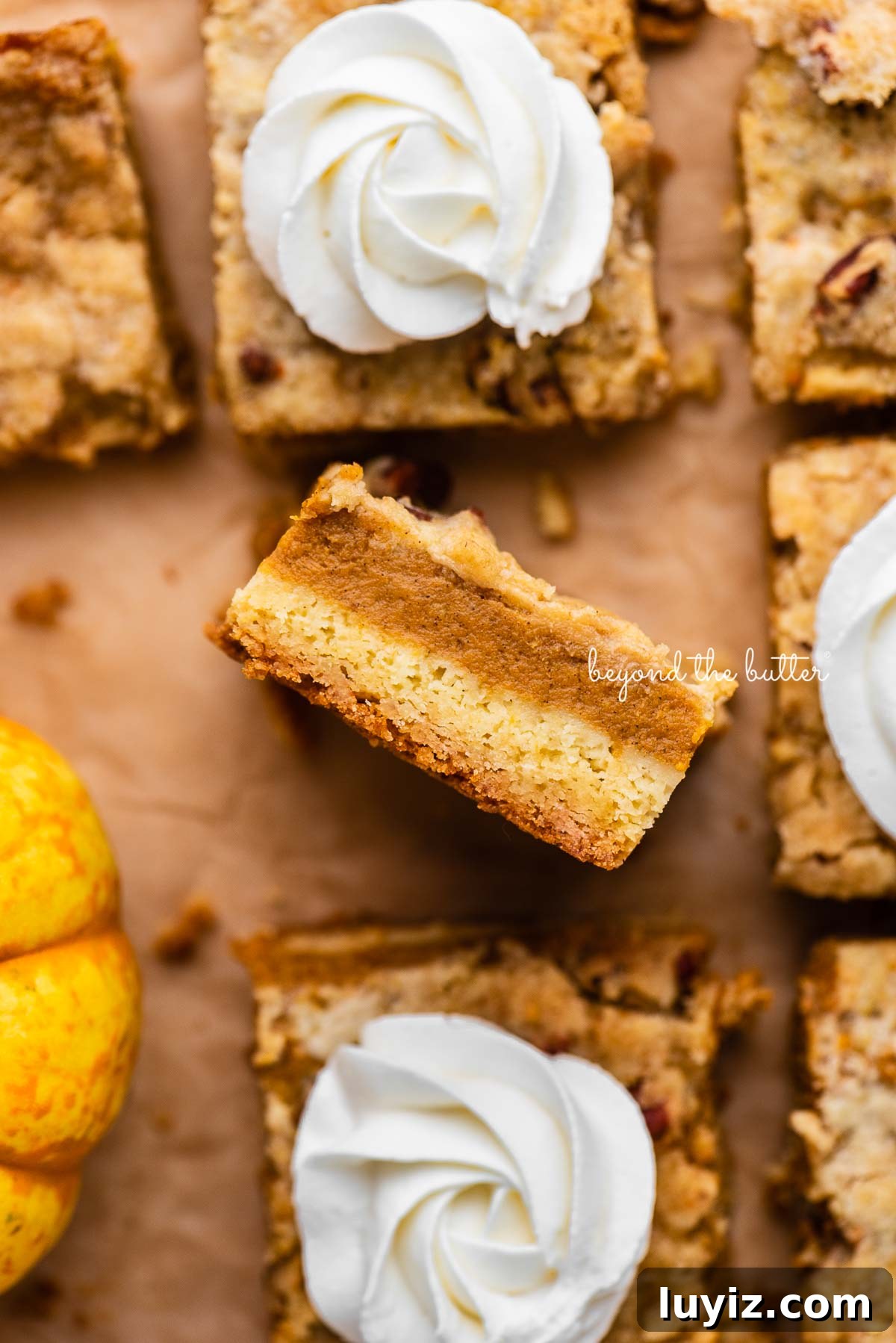 Pumpkin Pie Bars with Creamy Cinnamon Filling 3 Sliced pumpkin pie cake bars on parchment paper background with center slice on its side | © Beyond the Butter®