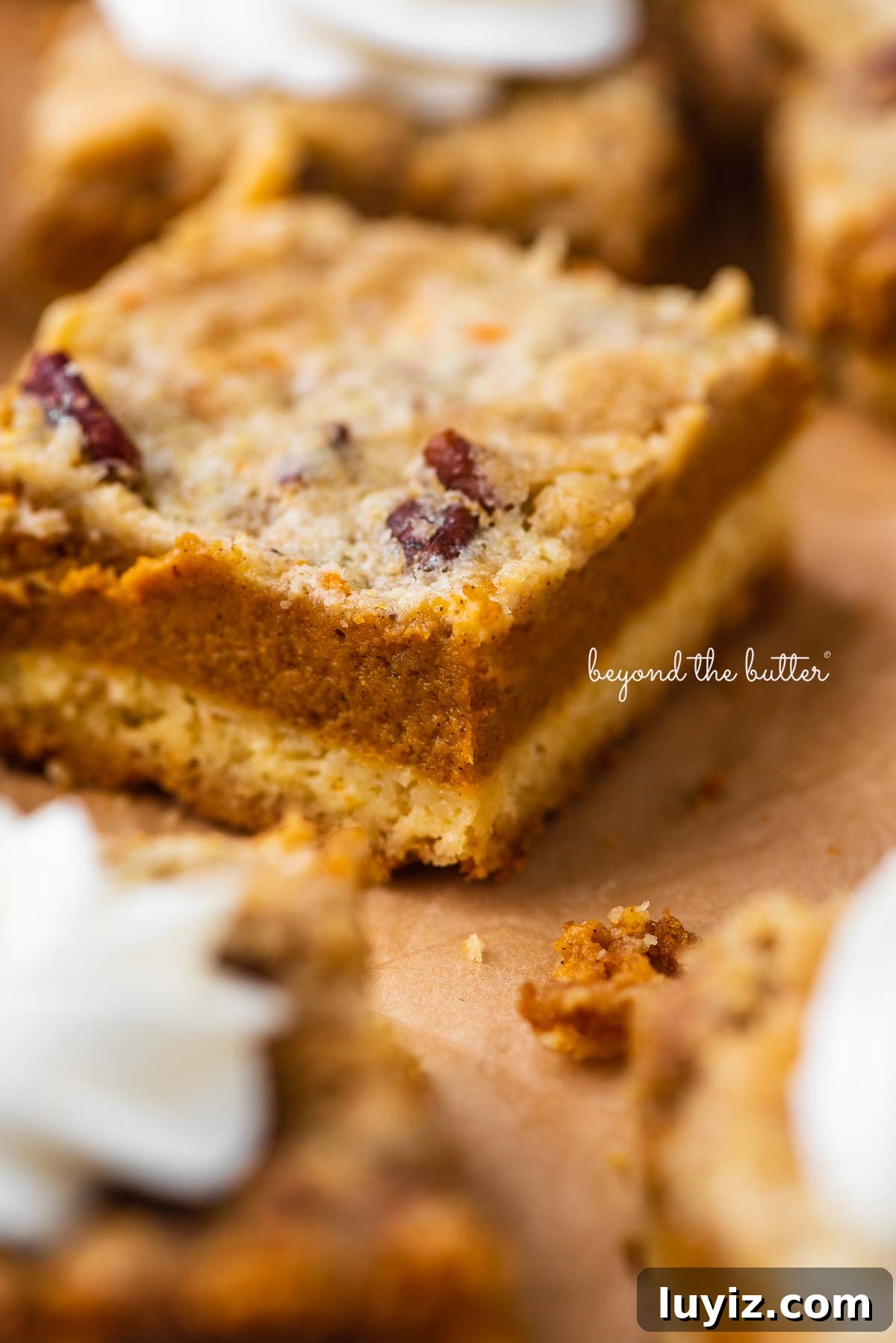 Pumpkin Pie Bars with Creamy Cinnamon Filling 5 Sliced pumpkin pie cake bars on parchment paper background | © Beyond the Butter®