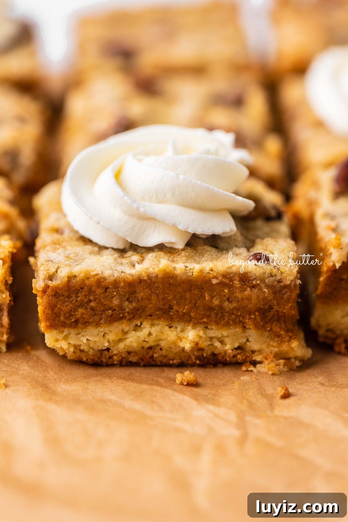 Pumpkin Pie Bars with Creamy Cinnamon Filling 7 Sliced pumpkin pie cake bars topped with homemade whipped cream on parchment paper background | © Beyond the Butter®
