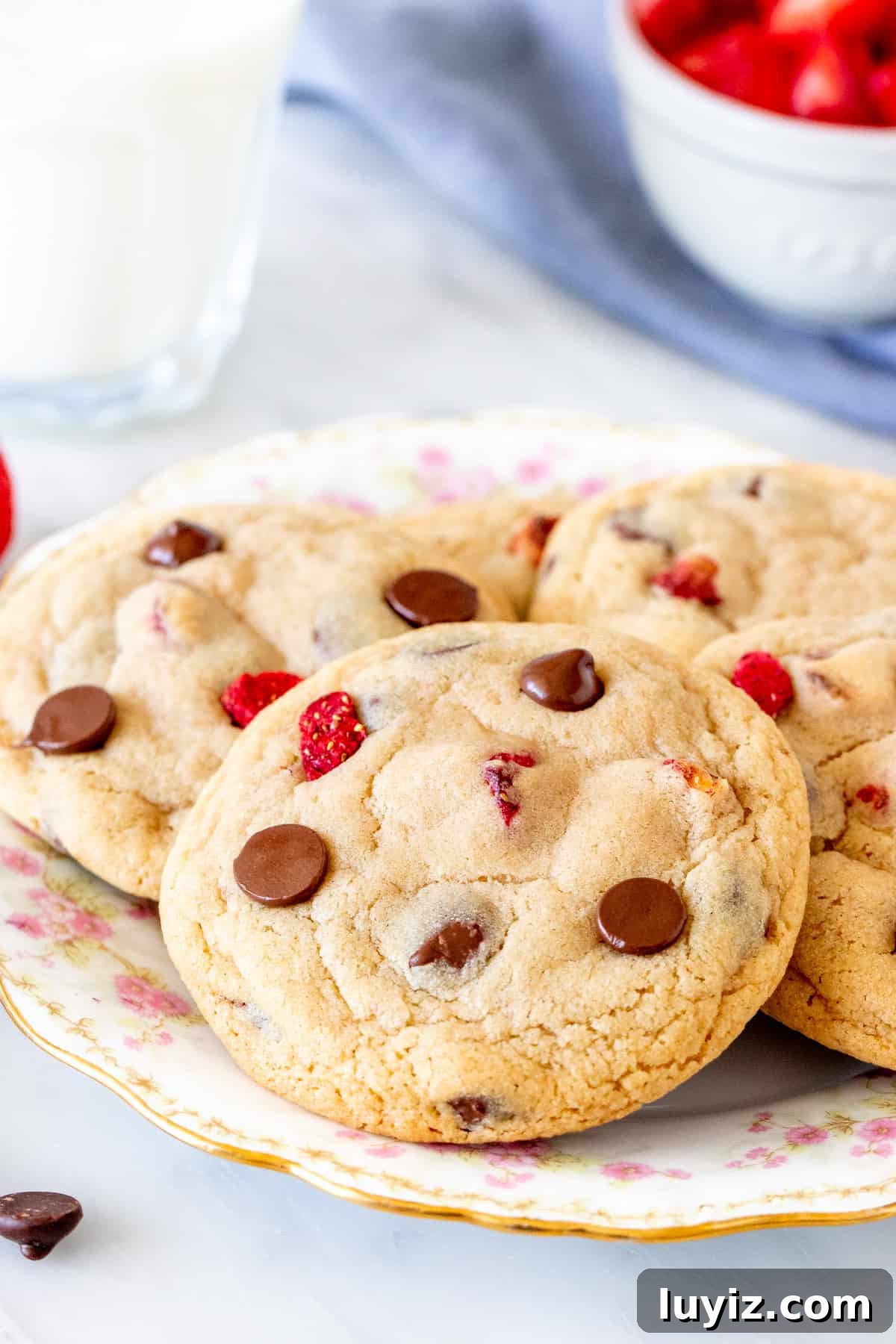 Strawberry and Chocolate Chip Cookie Recipe for Summer Baking 2 img 16158 1