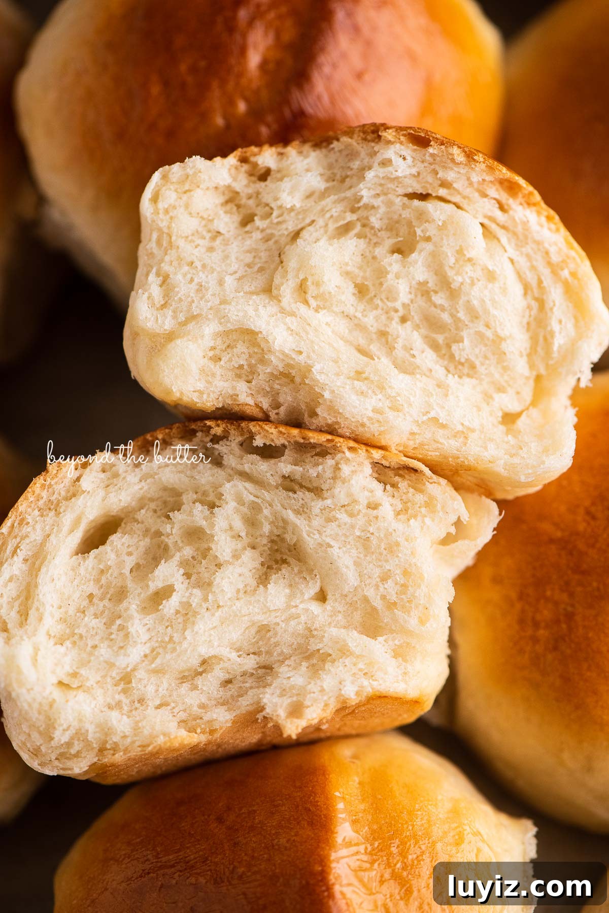 Soft Honey Butter Dinner Rolls Recipe for Fluffy, Golden Buns 6 Homemade honey butter dinner rolls with one ripped in half to show the fluffiness | © Beyond the Butter®