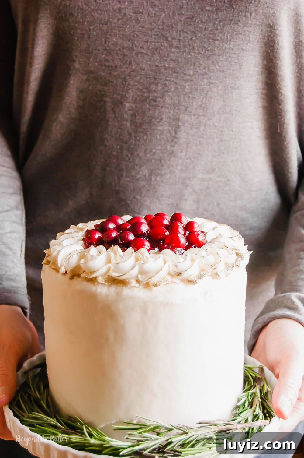 Classic Gingerbread Cake Recipe with Warm Spices 4 Gingerbread Cake | Person holding Gingerbread Cake with Maple Buttercream Frosting and Cranberry Compote on a cake stand | Image Credit: Beyond the Butter, LLC