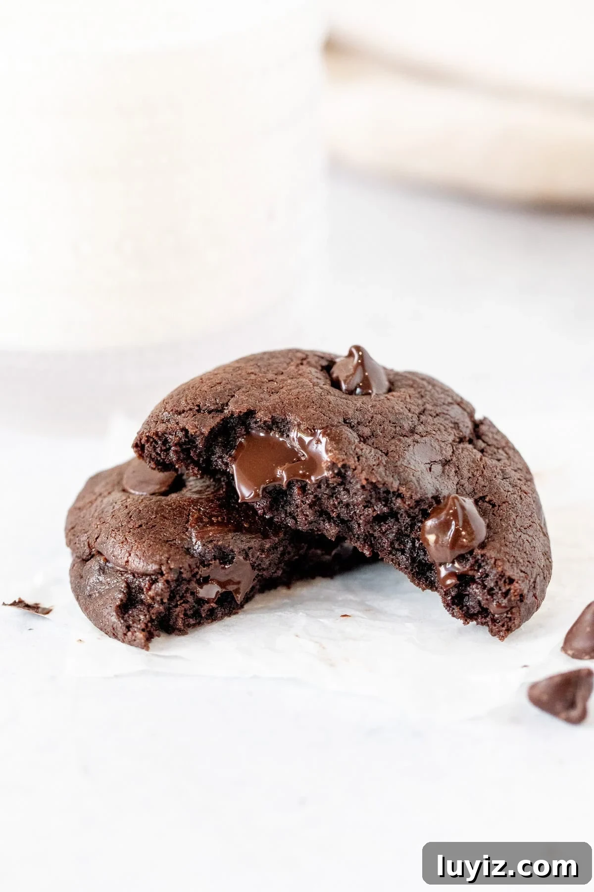 Double Chocolate Chip Cookie Recipe with Rich Cocoa Chips 7 thick double chocolate chip cookie broken in half with glass of milk