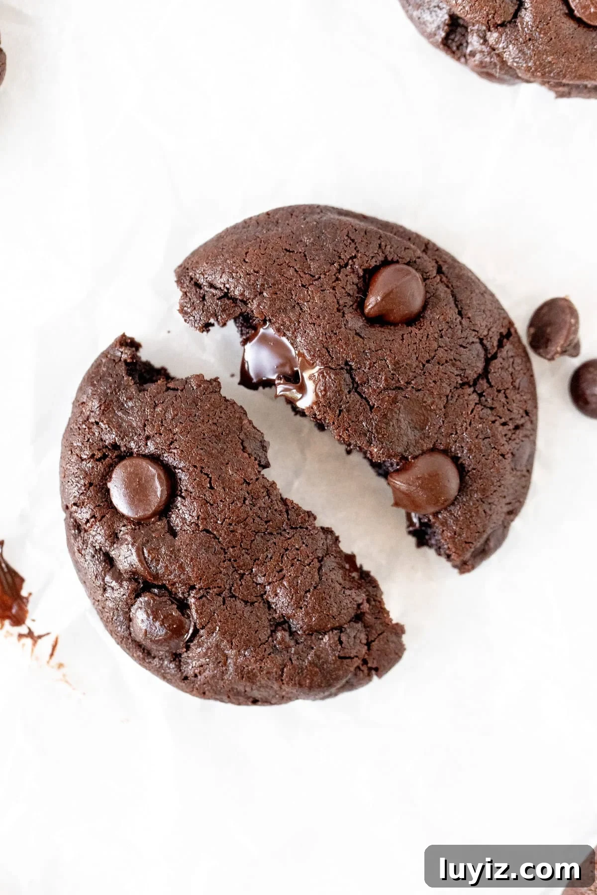 Double Chocolate Chip Cookie Recipe with Rich Cocoa Chips 4 Soft double chocolate cookie broken in half