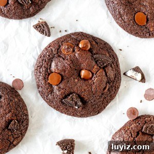 Chocolate Oreo Cookie Recipe: Crispy, Creamy Homemade Treats 7 Chocolate cookies made with Oreo pieces and chocolate chips
