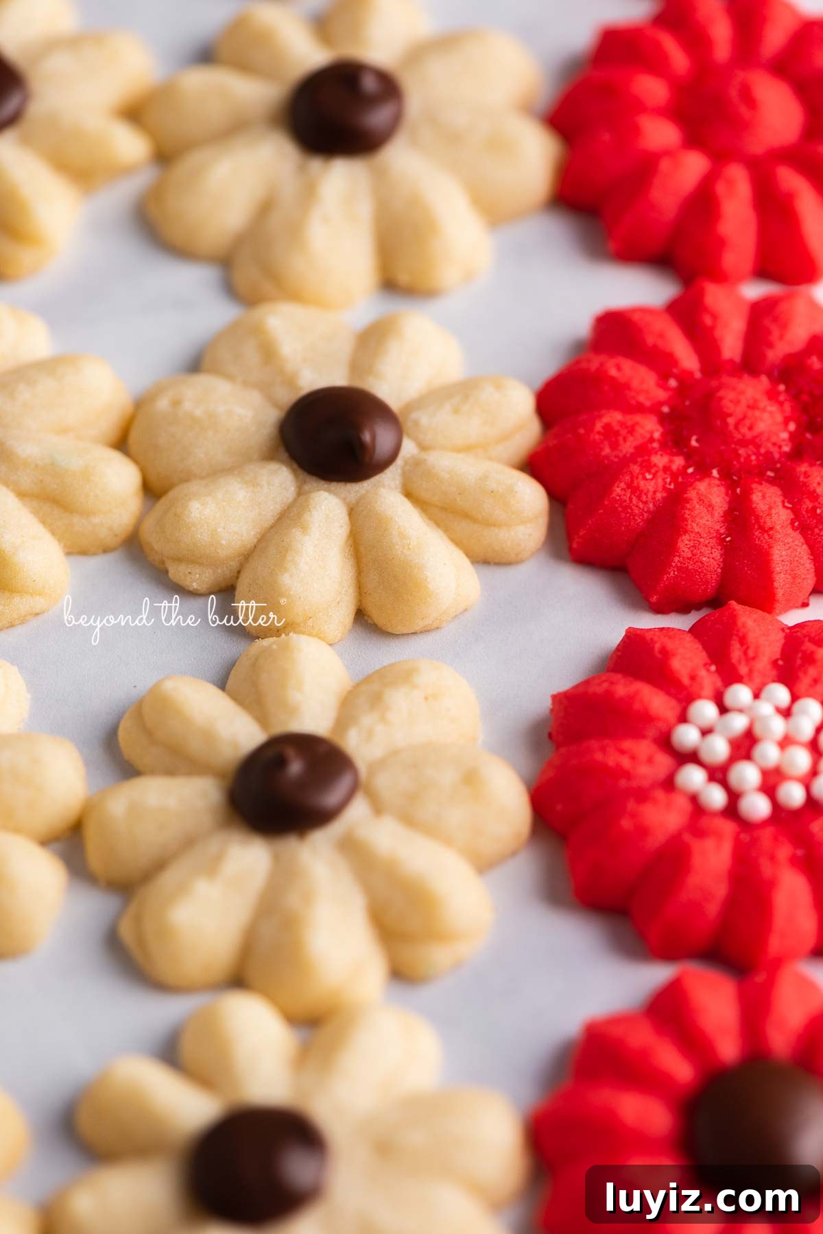 Crisp Butter Spritz Cookies: Traditional Holiday Recipe 4 Decorated classic buttery spritz cookies lined up on a white marbled background | © Beyond theButter®