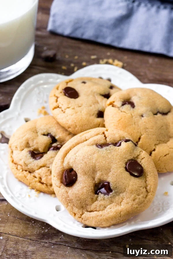 Chewy Flourless Peanut Butter Cookies (3-Ingredient Recipe) 3 Flourless peanut butter cookies with chocolate chips are gluten free, dairy free & only require 5 ingredients.