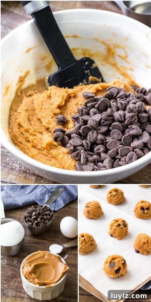 Chewy Flourless Peanut Butter Cookies (3-Ingredient Recipe) 4 Flourless Peanut Butter Cookie Recipe - so easy & only 5 ingredients