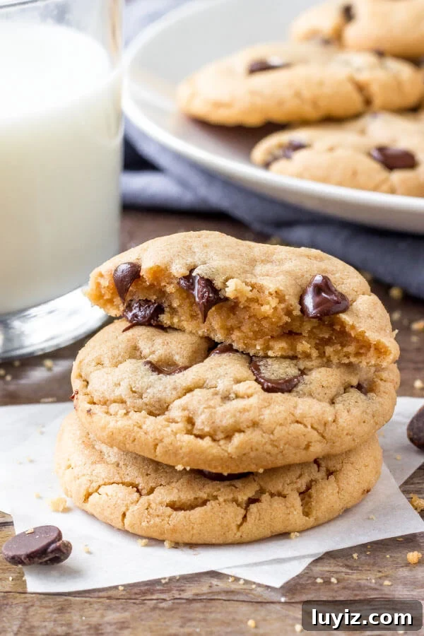 Easy peanut butter cookie recipe - only 5 ingredients, completely flourless, soft, chewy & thick. 