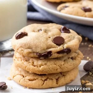Chewy Flourless Peanut Butter Cookies (3-Ingredient Recipe) 6 A stack of flourless peanut butter cookies - soft, chewy, & filled with chocolate chips.