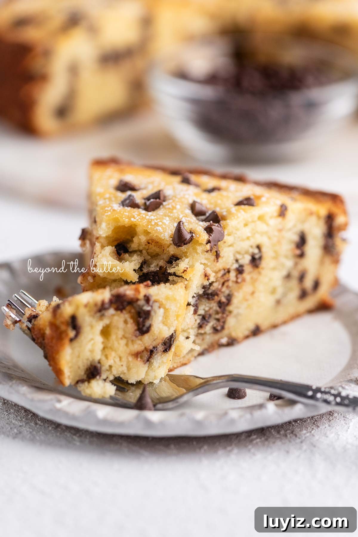 Moist Chocolate Chip Ricotta Cake Recipe for Perfect Dessert 3 Slice of chocolate chip ricotta cake with a fork holding the first bite | © Beyond the Butter®