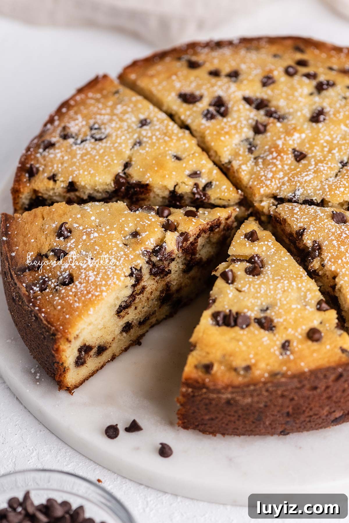 Moist Chocolate Chip Ricotta Cake Recipe for Perfect Dessert 6 Sliced chocolate chip ricotta cake on a marble cake round with small bowl of mini chocolate chips nearby | © Beyond the Butter®