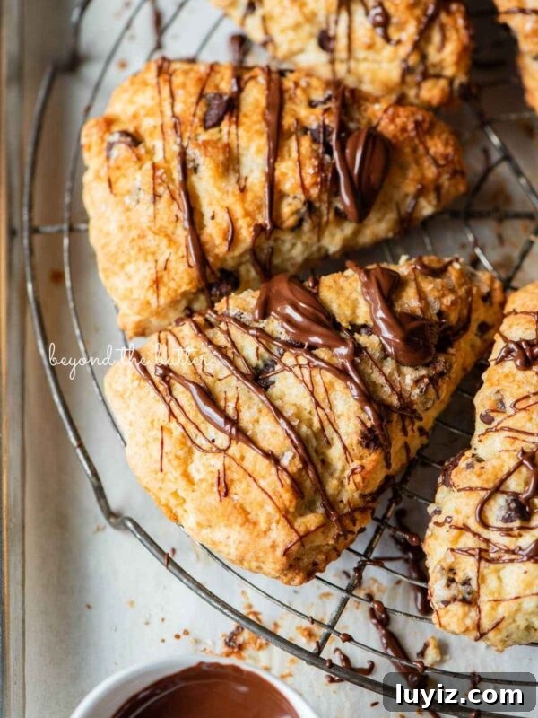 Moist Chocolate Chip Ricotta Cake Recipe for Perfect Dessert 10 Chocolate chip scones drizzled with melted chocolate on a round wire cooling rack.