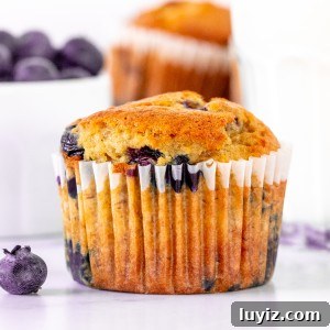 Moist Banana Blueberry Muffins with Crunchy Streusel 7 Blueberry banana muffin with glass of milk.