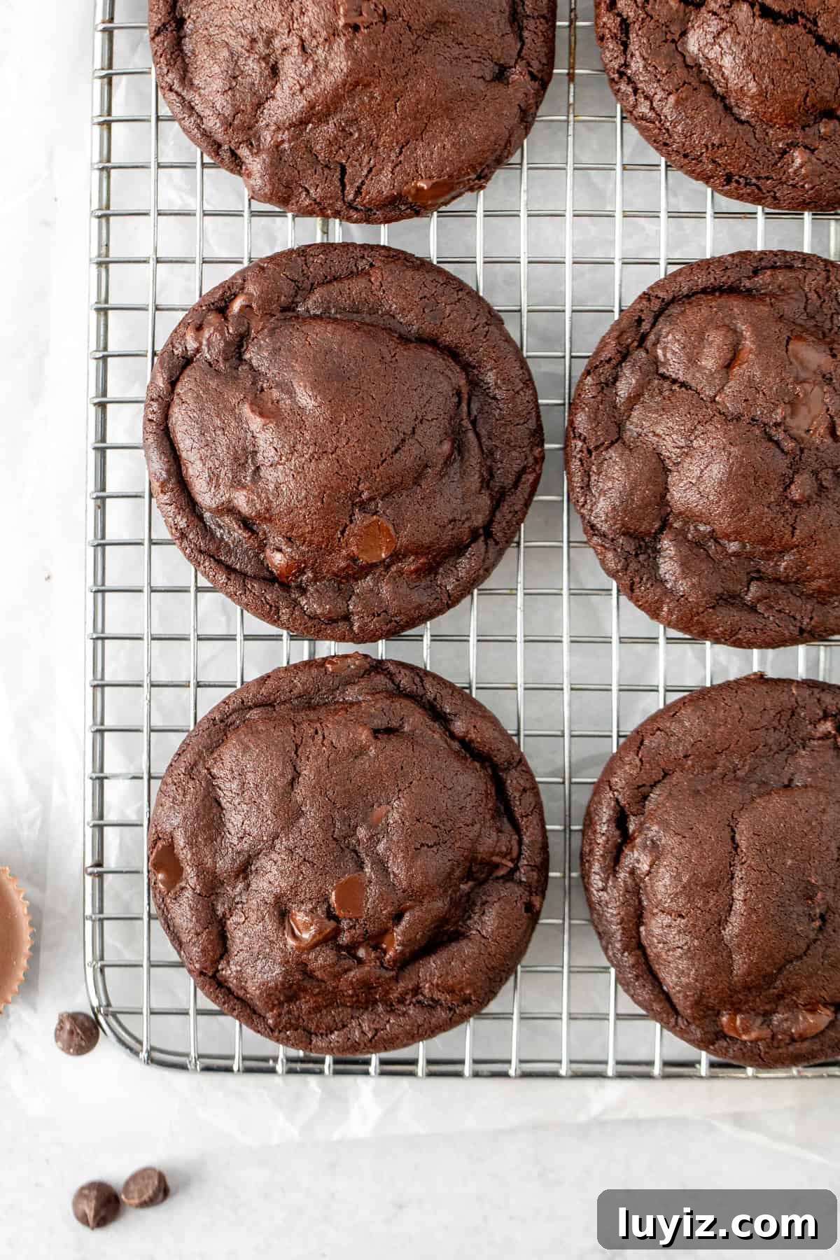 Reese’s Double Chocolate Cookie Recipe 4 Cooling rack of chocolate cookies