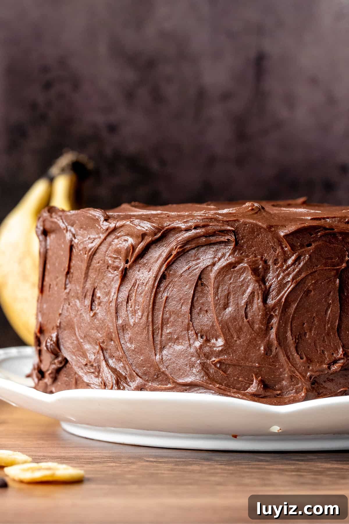 Moist Banana Chocolate Chip Cake Recipe for Chocolate Lovers 3 Layer cake decorated with chocolate frosting