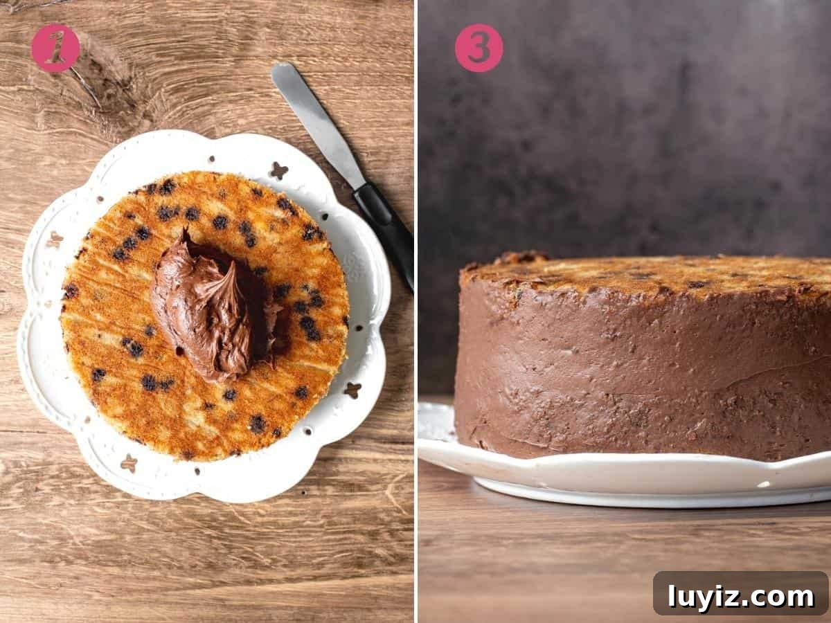 Moist Banana Chocolate Chip Cake Recipe for Chocolate Lovers 4 2 photos of how to frost a layer cake
