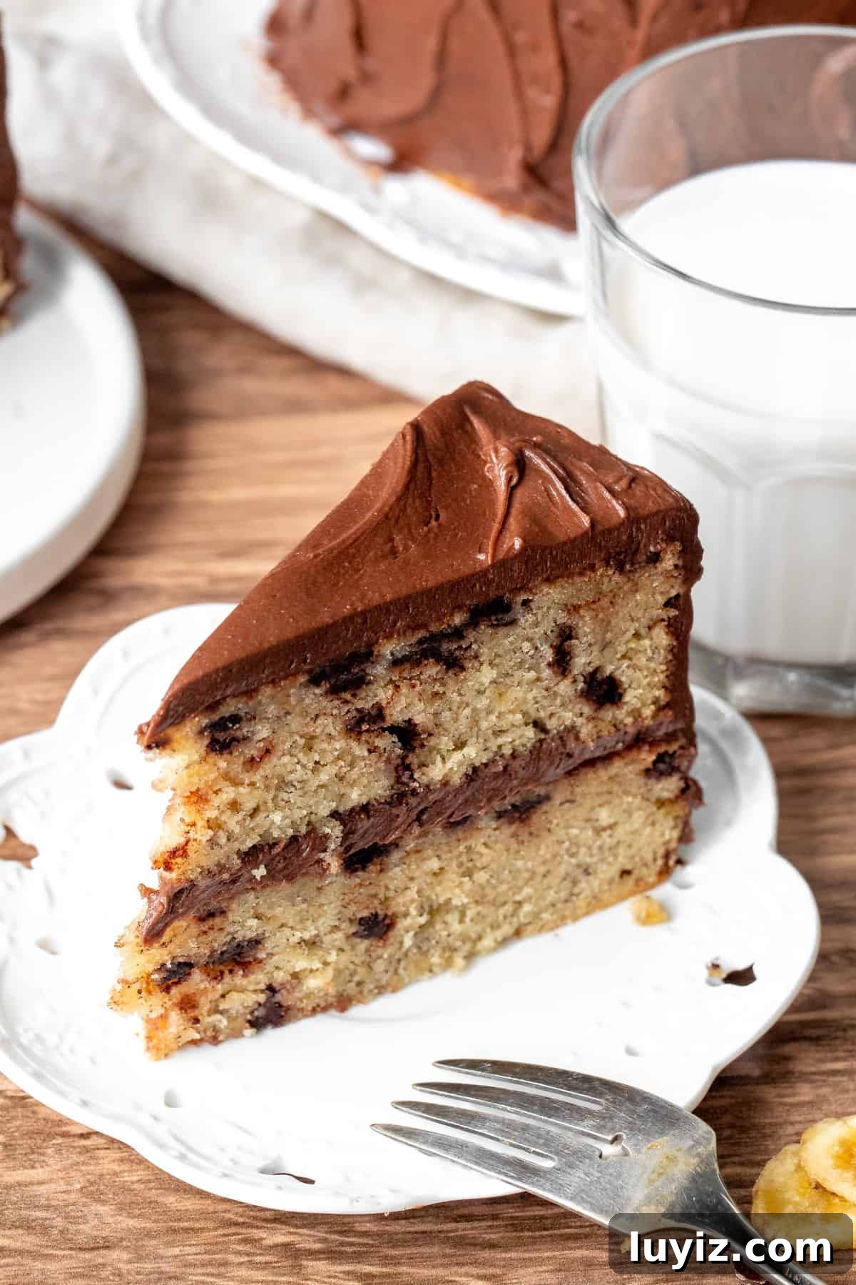 Moist Banana Chocolate Chip Cake Recipe for Chocolate Lovers 5 Slice of banana chocolate chip cake with chocolate frosting